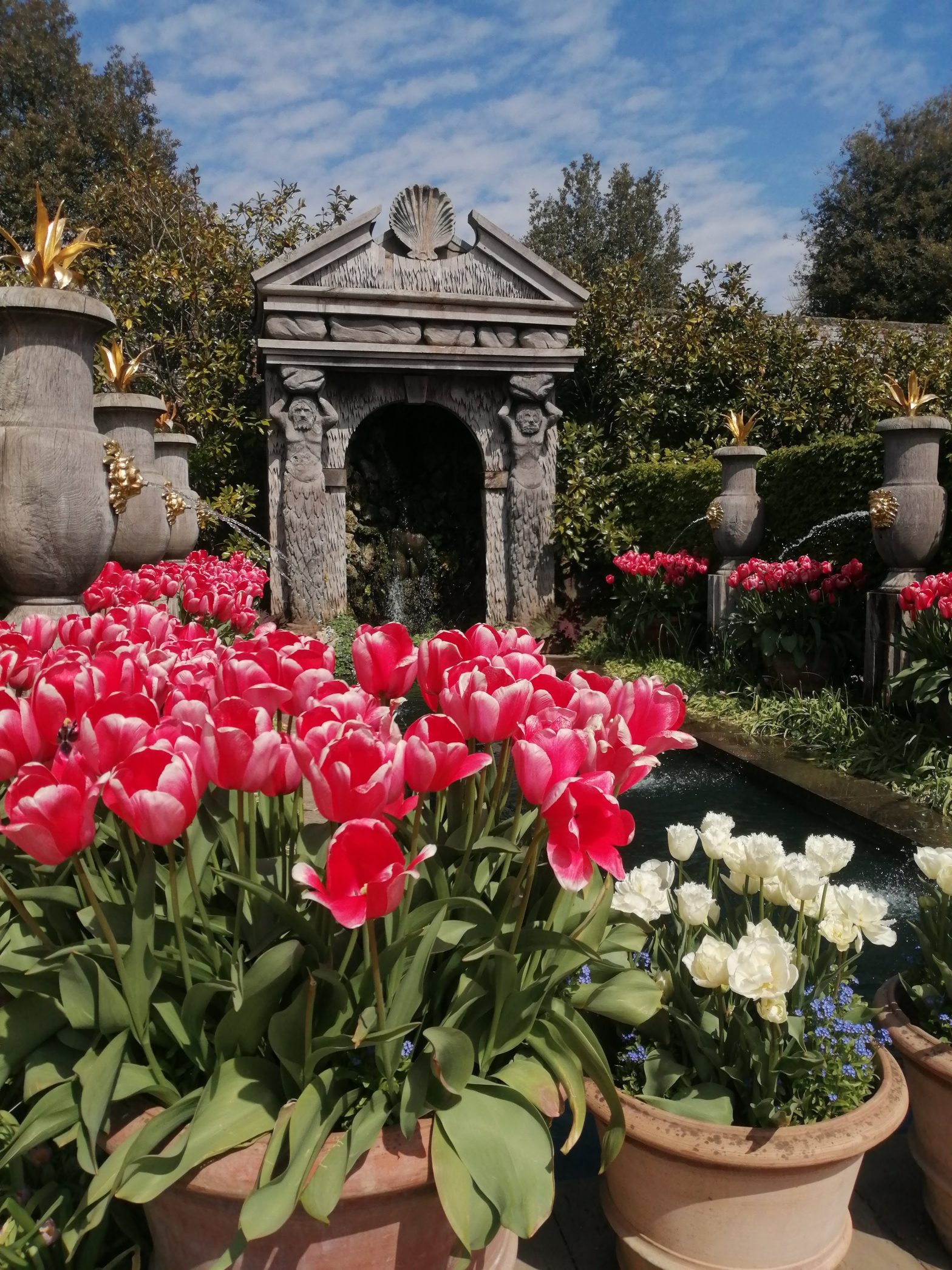 A picture of the giant pink tulips in a pot, next to some smaller white ones also in a pot, in front of a water feature and a stone arch